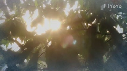 Professional Single Ep 05 Eng Sub