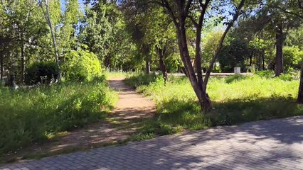 Vivo V50 Estabilización Estándar