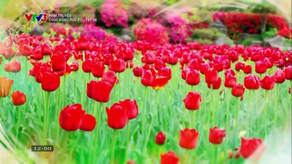 CUỘC SỐNG RỰC RỠ - TẬP 58 - VTV3 THUYẾT MINH - PHIM HÀN QUỐC - CUOC SONG RUC RO