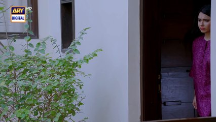 Naqaab EP 44   Ali Ansari   Humayoun Ashraf   Hina Tariq   Ghana Ali   30 April 2025   ARY Digital