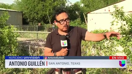 Inmigrante se sube a un árbol para evitar ser arrestado por ICE_ lleva varias horas trepado