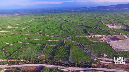 Kentsel Dönüşüm Başkanlığı müjdeyi verdi: 43 ilde 383 arsa açık artırmaya çıkacak