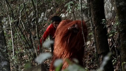 Pelicula de terror completa  Su avión se estrelló en una isla mística  Accion, aventura, drama😱🎬