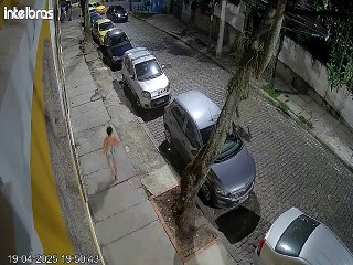 Idosa vai à delegacia denunciar roubo de cadela mas acaba indiciada