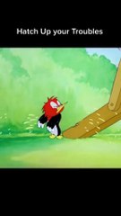 Part 68 Tom and Jerry  Woodpecker- #shorts