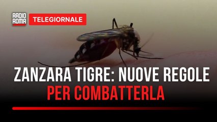 Zanzare, scatta l’ordinanza antilarvale fino a Dicembre