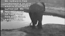Best clip ever. Elephant doing plumbing in the wild.
