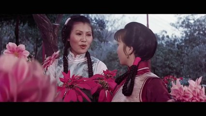 An Old Kung Fu Master