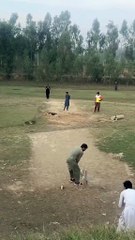 Hilarious Dog Attack Moments 🐶