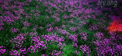 Throne of Seal - Electrolux - The Crownless God 01 EN SUB