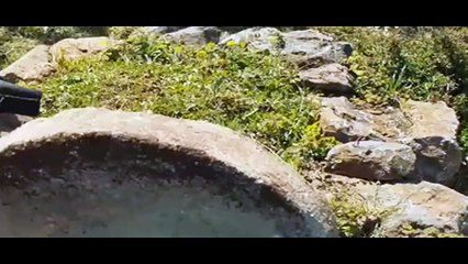 Kuruluş Osman 190. Bölüm: Büyük Savaş ve Sürpriz İhanetler 🔥 - thumbnail