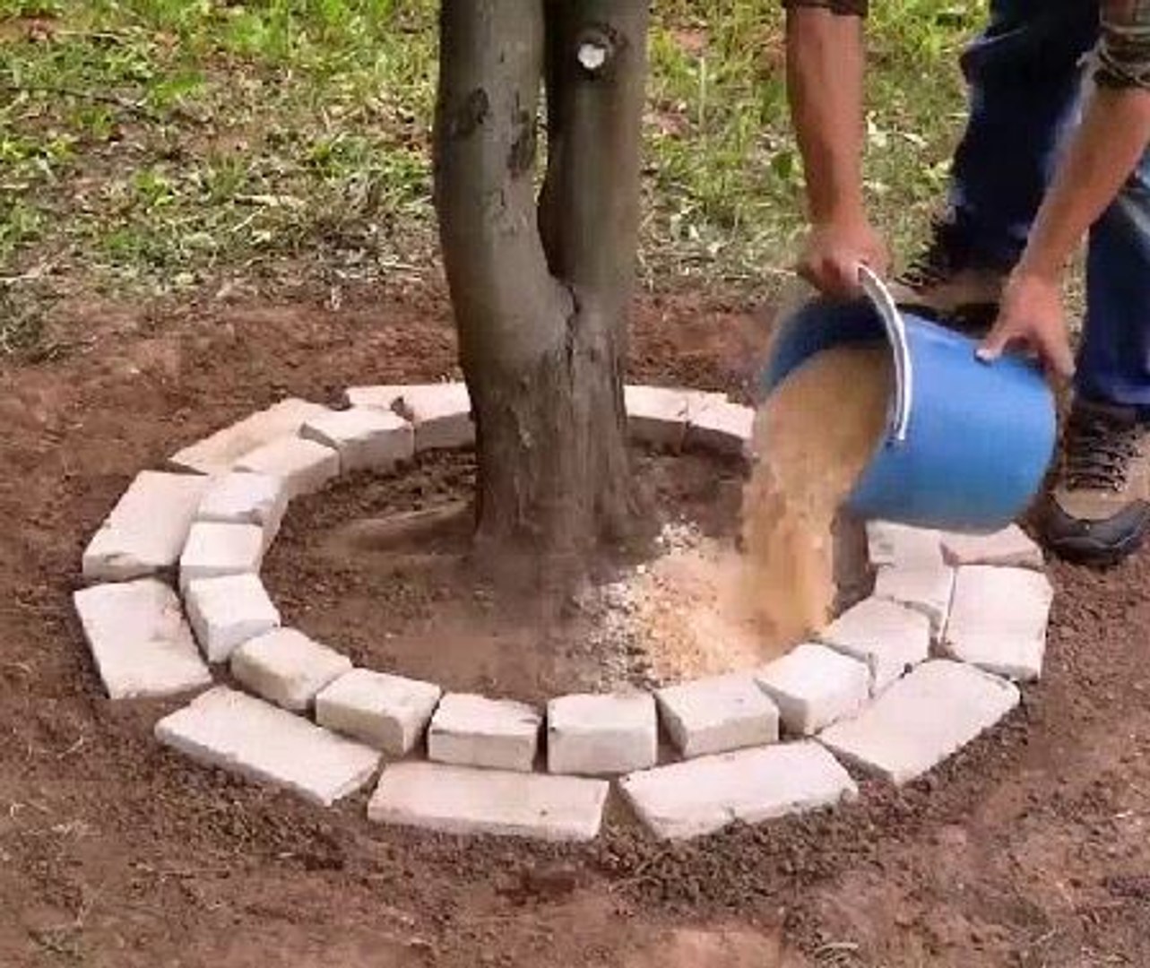 ⁣Fast & Fresh! Backyard Grooming Hacks You’ll Love!