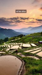 Pourquoi le Japon balance des parpaings en masse au large de ses cotes ?