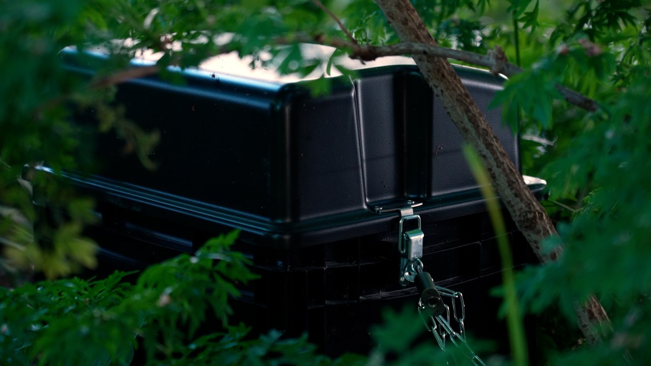 « Trop, c’est trop » : Paris part à la chasse aux rats avec des pièges connectés