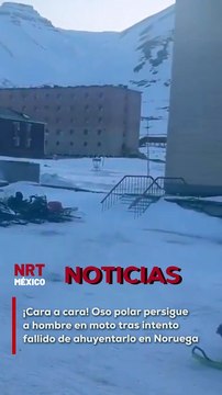 Un tenso encuentro se vivió en Noruega cuando un hombre intentó ahuyentar a un oso polar que se acercaba a un hotel. Sin embargo, el animal reaccionó persiguiéndolo, obligando al hombre a escapar a toda velocidad en su motocicleta tras fallar en intimidar