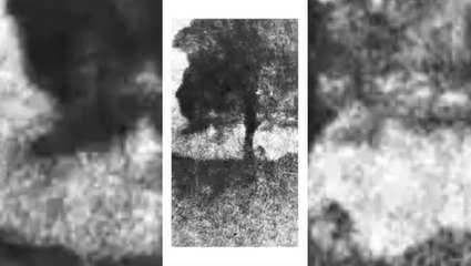 Watch: Footage ‘shows Sycamore Gap tree being chopped down’ jury told