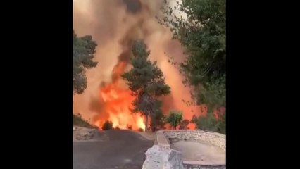 이스라엘 예루살렘 부근서 대형 산불...강풍 타고 확산 / YTN