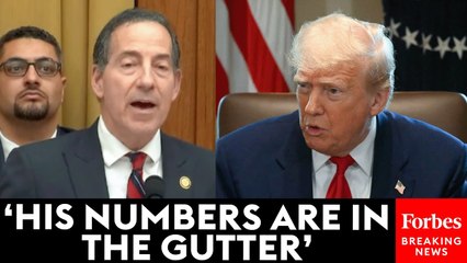 'It Must Be Tough To Be An Authoritarian': Jamie Raskin Doesn't Hold Back On Trump's First 100 Days