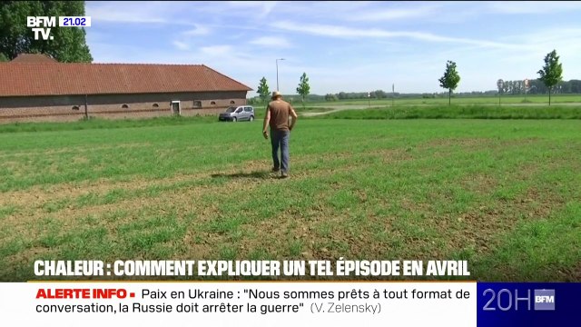 Sécheresse, sols arides... avec l'épisode de chaleur, les agriculteurs craignent pour leurs cultures