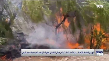 إسرائيل طلبت من اليونان وكرواتيا وإيطاليا وقبرص التدخل بطائرات لإخماد الحرائق