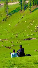 Beautiful Kashmir 😍 😘 #kashmir #mountains #travel #kashmirmountains