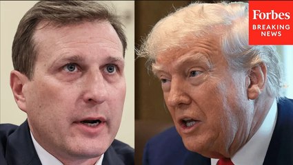 Dan Goldman Slams GOP: 'They Are Perfectly Happy For Donald Trump To Become A King, A Dictator'