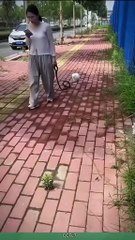 #funny#comedy#viral videos #chinese#k-chin666😂