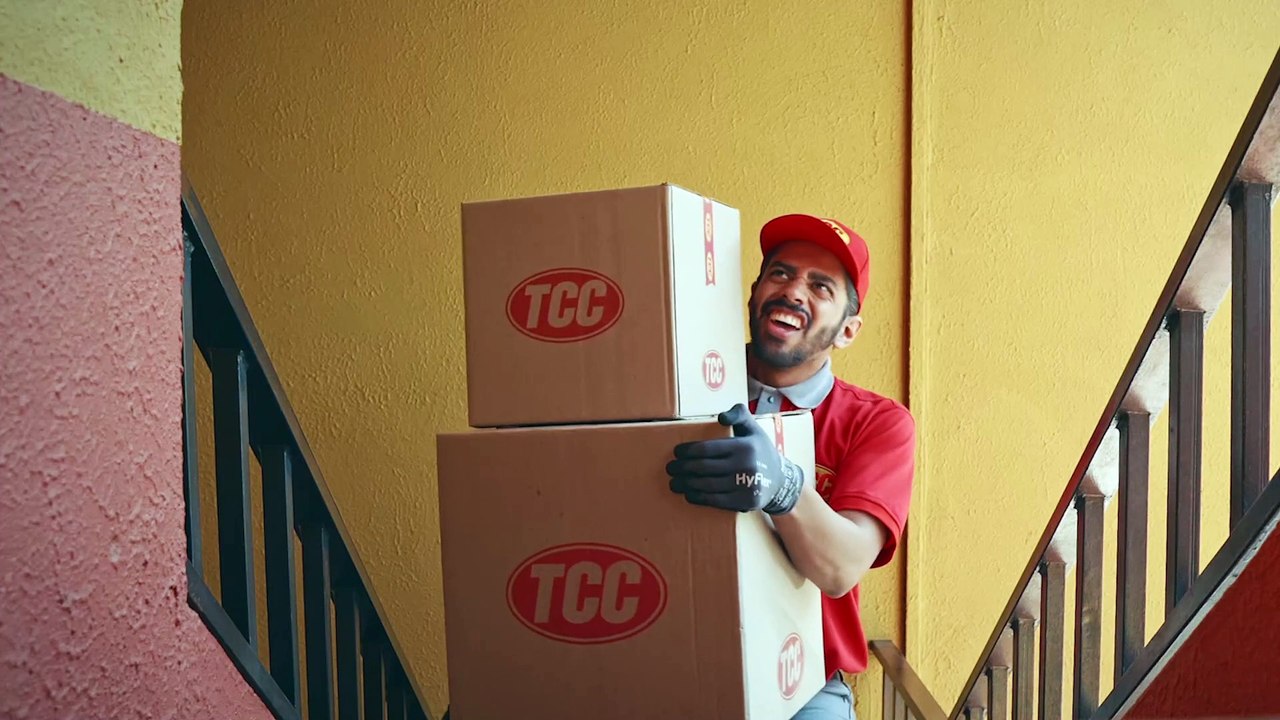 TCC_QUE_LO_DESTAPE_SONY_10SEG