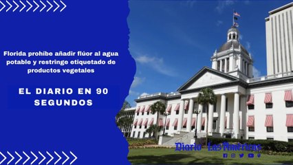 Florida prohíbe añadir flúor al agua potable y restringe etiquetado de productos vegetales | El Diario en 90 segundos