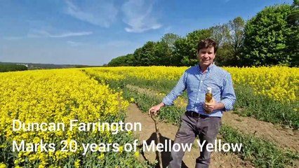 Farrington Oils Mellow Yellow Duncan Farrington