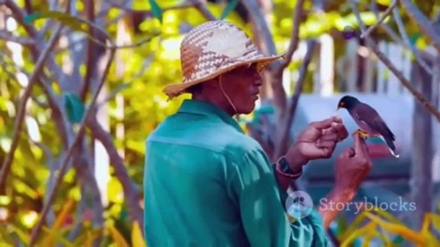 The Farmer and the Grateful Sparrow: A Tale of Kindness and Miracles | Bed time story |