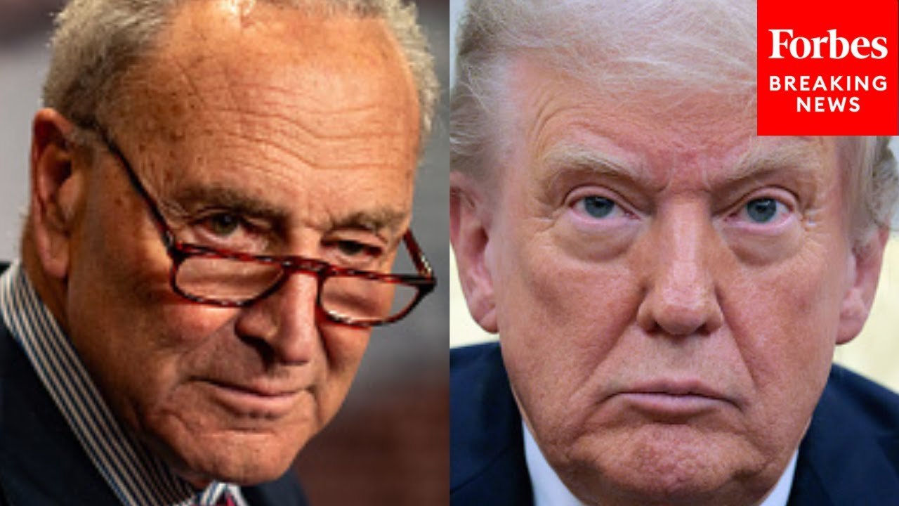Chuck Schumer Torches Trump's Tariffs, Previews Vote To End 'Stupid And Reckless' Trade War