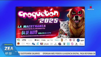 Chewbacca es una perrita rescatada que está es busca de una familia