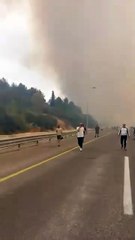 Israel declara emergencia nacional por incendios forestales cerca de Jerusalén