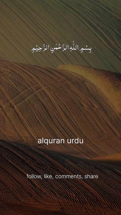 Surah al masad
