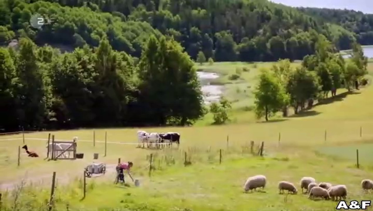 Inga Lindström -051- Feuer unterm Dach