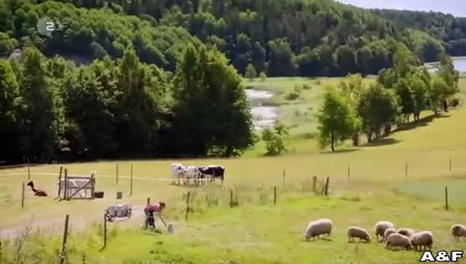 Inga Lindström -051- Feuer unterm Dach