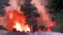 Israel declara emergencia nacional por incendios forestales cerca de Jerusalén