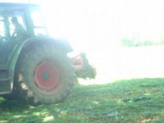 fauchage de mauvais blé