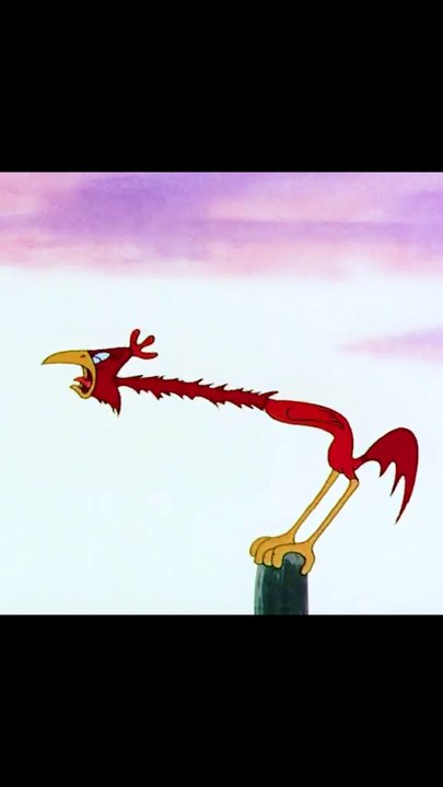 Cock | Cartoon For Kids