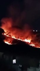 Incêndio em Tancredo Neves