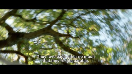 禁断のエチュード　マルグリットとジュリアン | movie | 2015 | Official Trailer