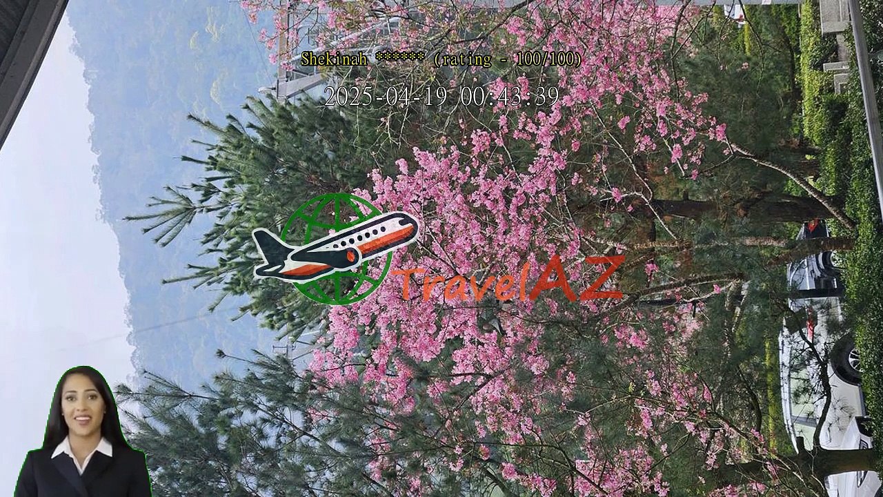 Review Sun Moon Lake Ropeway Ticket