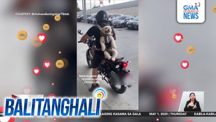 Alagang aso, good vibes ang hatid dahil sa abot-taingang ngiti sa tuwing gumagala | Balitanghali