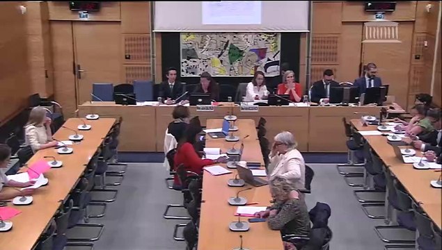 Commission des affaires culturelles : Renforcer le parcours inclusif des élèves en situation de handicap - Mercredi 30 avril 2025