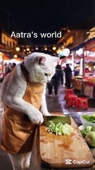 Cat cuts the veggies