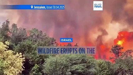 At least 12 in hospital as wildfire forces closure of Tel Aviv to Jerusalem highway