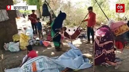 गरीबों की दर्दभरी दास्तां! भट्टीनुमा मौसम में पेड़ के सहारे 20 परिवारों की जिंदगी से जंग