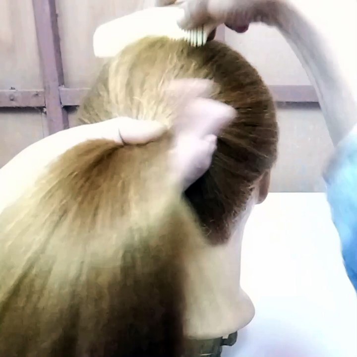 Girls Hairstyle with Women Bird Nest Hair Clips Holder #fashion #reels #viral #hairstyles #hair