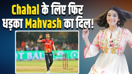 Yuzvendra Chahal Hat Trick: RJ Mahvash ने फिर लुटाया प्यार, बताया 'Warrior' तो आए मजेदार Comments!